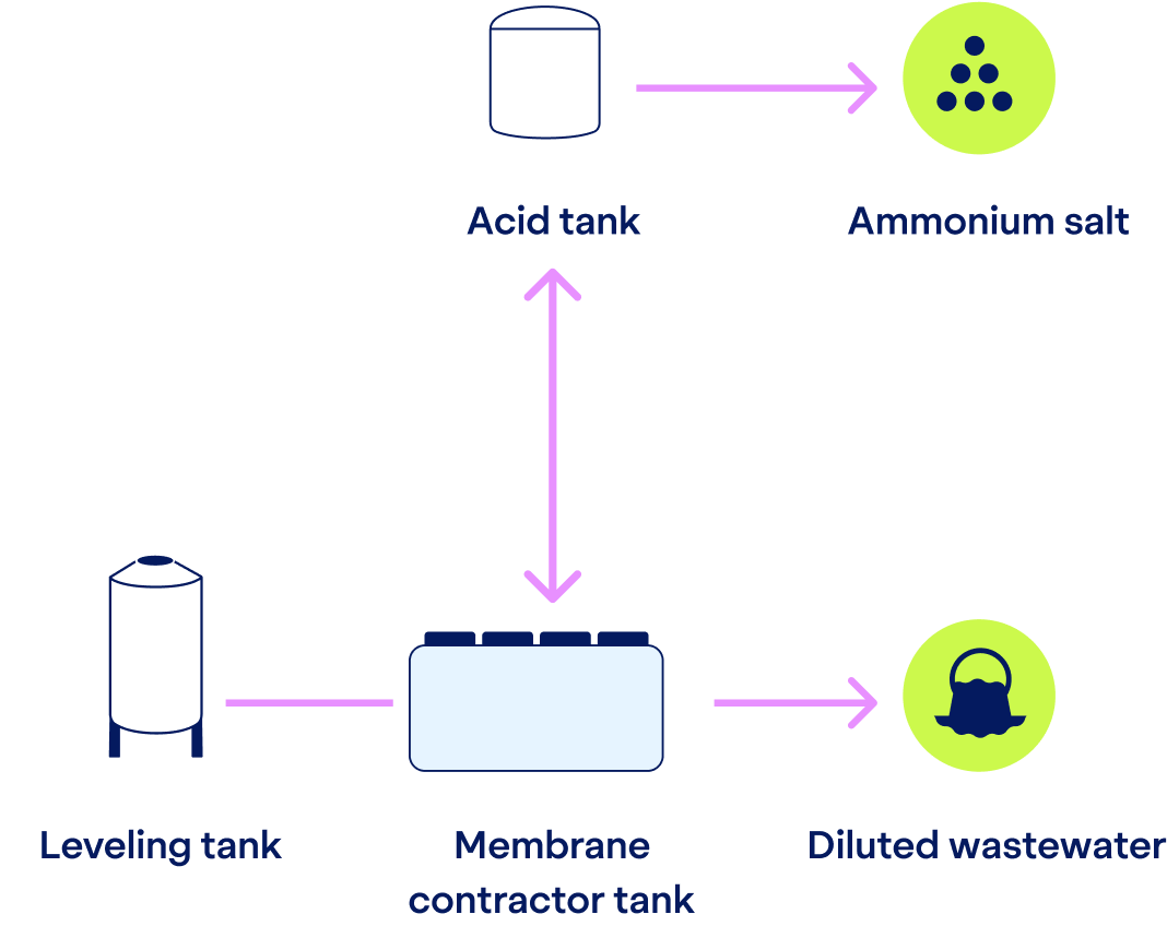 Nitrogen recovery process using hydrophobic membrane stripping by NPHarvest